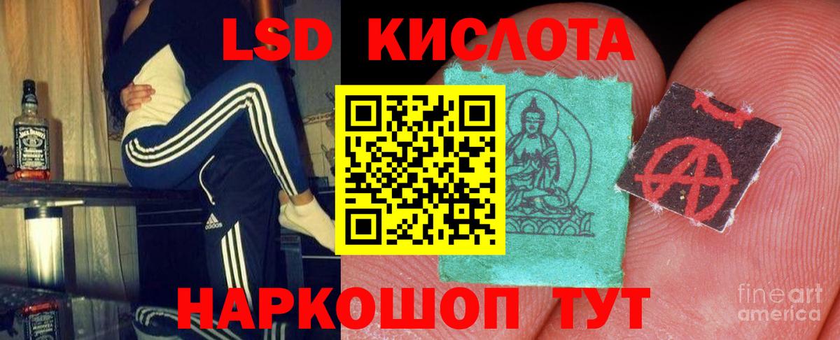 Каннабис Верхняя Пышма