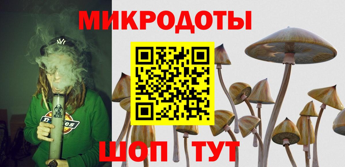 Псилоцибиновые грибы прущие грибы  Псилоцибиновые грибы GOLDEN TEACHER  Вход с VPN  Верхняя Пышма 